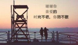 2024年-江苏建筑安全员-C证考试题库