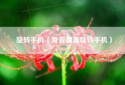 旋转手机（夏普翻盖旋转手机）