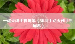 一键关闭手机屏幕（如何手动关闭手机屏幕）
