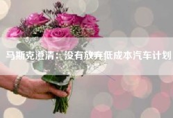 马斯克澄清：没有放弃低成本汽车计划