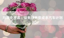 马斯克澄清：没有放弃低成本汽车计划