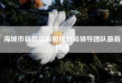 海城市自然资源和规划局领导团队最新概述