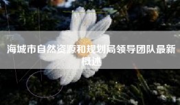 海城市自然资源和规划局领导团队最新概述