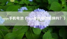 oppo手机电池（oppo手机电池能换吗？）