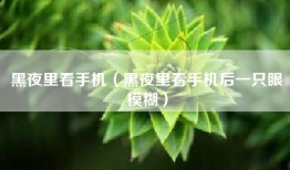 黑夜里看手机（黑夜里看手机后一只眼模糊）