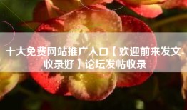 十大免费网站推广入口【欢迎前来发文-收录好】论坛发帖收录