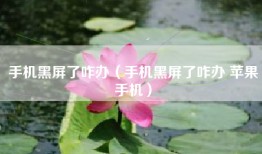 手机黑屏了咋办（手机黑屏了咋办 苹果手机）
