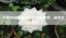 外贸网站建站和推广的重要性，具体怎么操作