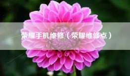 荣耀手机维修（荣耀维修点）