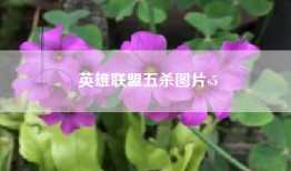 英雄联盟五杀图片s5