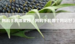 网购手机哪里好（网购手机哪个网站好）