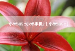 小米MIX 2小米手机2「小米MIX 2」