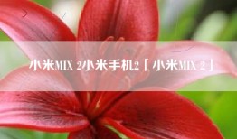 小米MIX 2小米手机2「小米MIX 2」