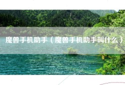 魔兽手机助手（魔兽手机助手叫什么）