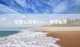 没那么简单(Live) - 锤娜丽莎