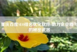 重庆百度SEO排名优化软件-助力企业腾飞的秘密武器