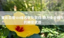 重庆百度SEO排名优化软件-助力企业腾飞的秘密武器