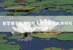 查苹果手机序列号（查苹果手机序列号查询激活日期）