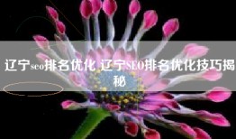 辽宁seo排名优化 辽宁SEO排名优化技巧揭秘