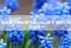 全球最大的BT种子站Kickass倒下 哪些BT站可替代？