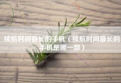 续航时间最长的手机（续航时间最长的手机是哪一部）