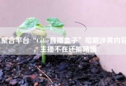聚合平台“Color直播盒子”暗藏涉黄内容，主播不在还能赌博