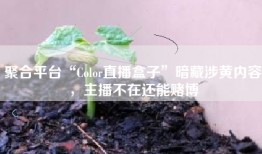聚合平台“Color直播盒子”暗藏涉黄内容，主播不在还能赌博