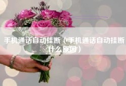 手机通话自动挂断（手机通话自动挂断什么原因）