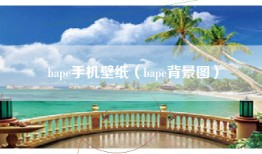 bape手机壁纸（bape背景图）