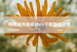 利用服务器磁链RSS下载影视动漫