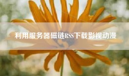 利用服务器磁链RSS下载影视动漫