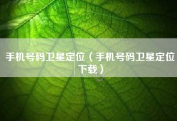 手机号码卫星定位（手机号码卫星定位下载）