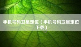 手机号码卫星定位（手机号码卫星定位下载）