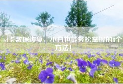 sd卡数据恢复，小白也能轻松掌握的8个方法！