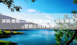 深圳(黑帽seo)推广营销公司【深圳(黑帽seo)营销公司有哪些】