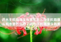 进水手机摄像头有雾气怎么办手机摄像头有水雾怎么办「进水手机摄像头有雾气怎么办」