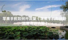 苹果手机如何开流量（苹果手机如何开流量漫游功能）