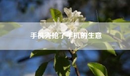 手机壳抢了手机的生意