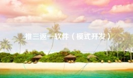 推三返一软件（模式开发）