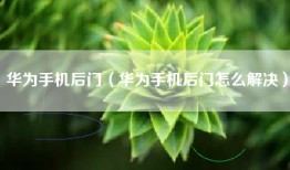 华为手机后门（华为手机后门怎么解决）