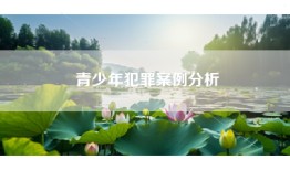 青少年犯罪案例分析