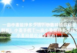 一亩小麦能挣多少钱？小麦种植收益全解析！小麦手机「一亩小麦能挣多少钱？小麦种植收益全解析！」
