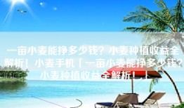 一亩小麦能挣多少钱？小麦种植收益全解析！小麦手机「一亩小麦能挣多少钱？小麦种植收益全解析！」