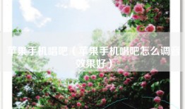 苹果手机唱吧（苹果手机唱吧怎么调音效果好）