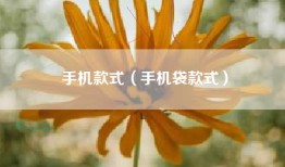 手机款式（手机袋款式）