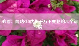 必看：网站SEO优化千万不要犯的几个错误