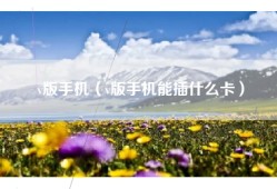 v版手机（v版手机能插什么卡）