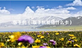v版手机（v版手机能插什么卡）