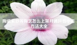 陶瓷紫砂等陶艺怎么上架开通抖音小店 方法大全
