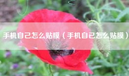 手机自己怎么贴膜（手机自已怎么贴膜）